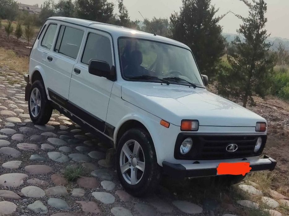 Нива  5. Дверная