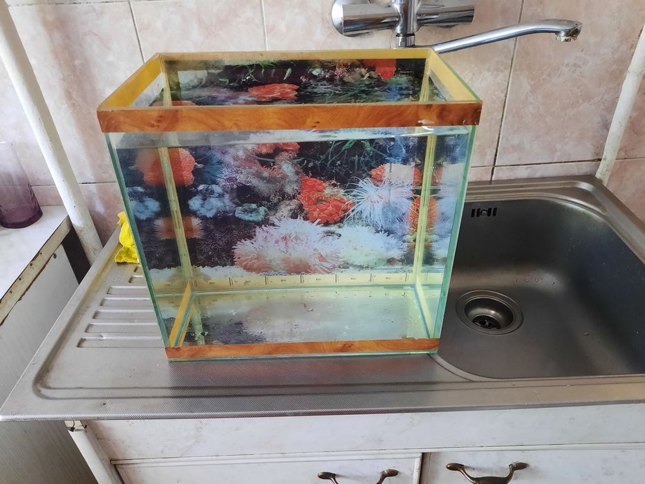 Продам аквариумы небольшие