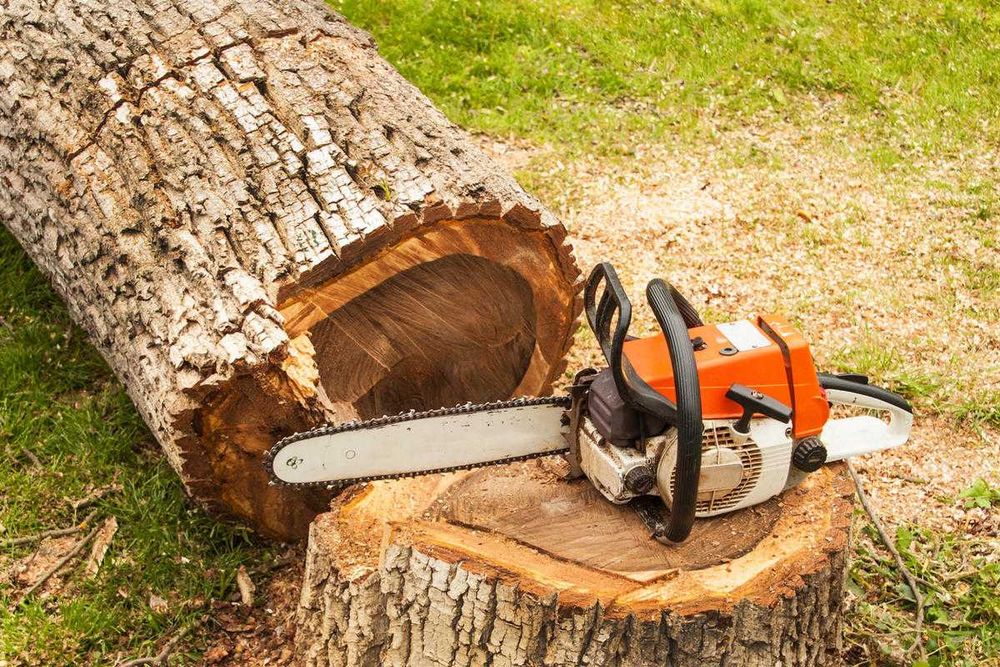 Daraxt kesish/ Спил деревьев, обрезка деревьев, вырубка кустарников