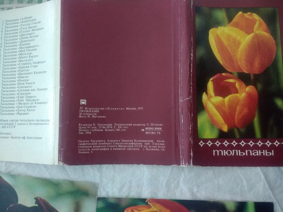 Коллекционные открытки ТЮЛЬПАНЫ  1975 год