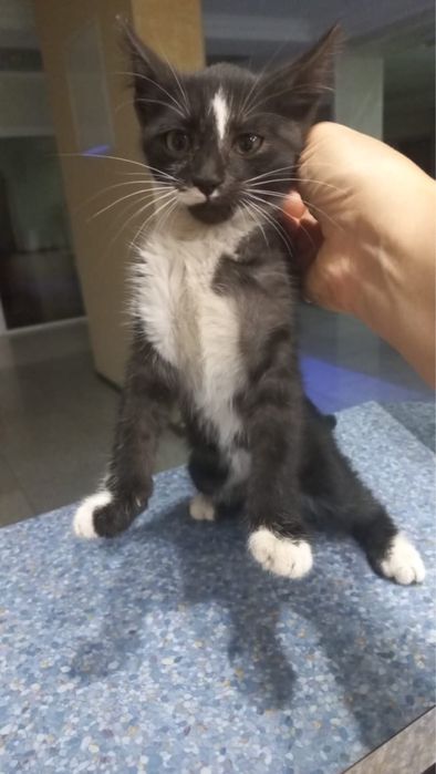 Счастье в ваш дом