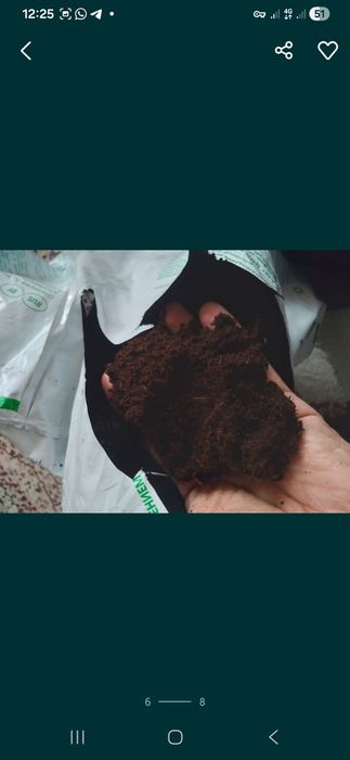 Грунт Расада  цветы