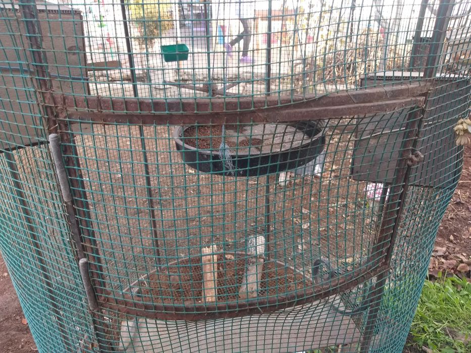 Валер для попугаев