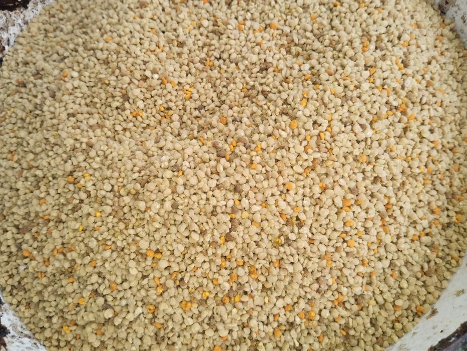 Vand polen de paducel (congelat)