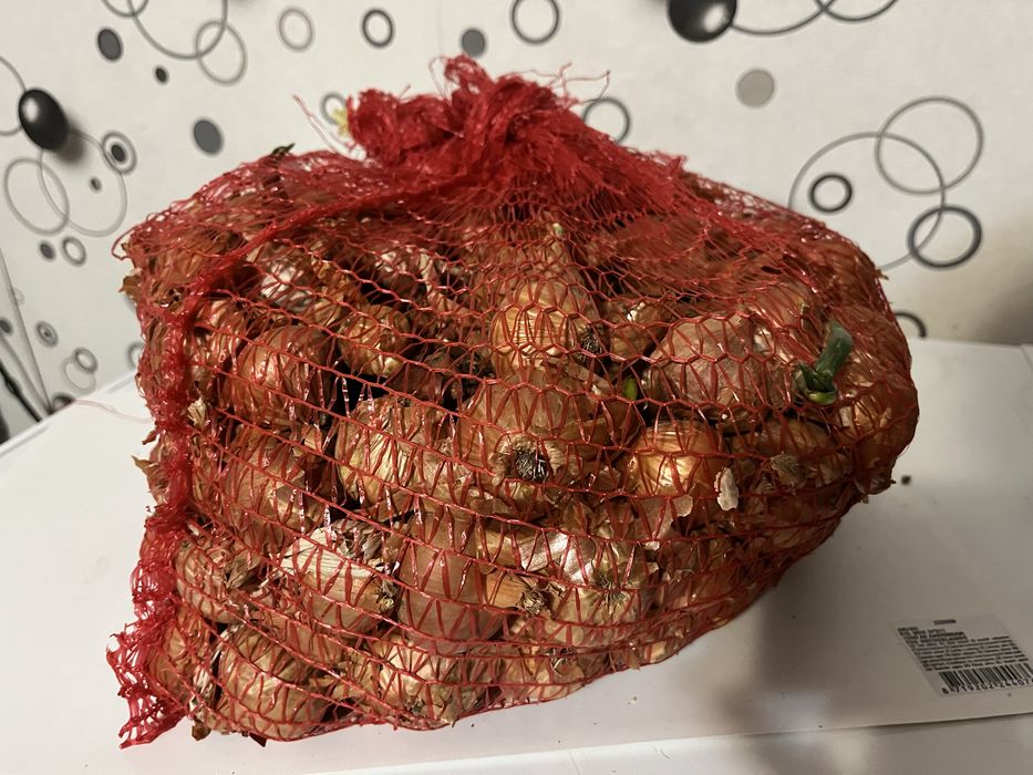 Продавам Лукова Балучка около 70кг