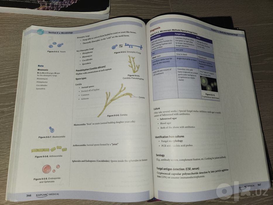 Оригинальный комплект USMLE Step 1 (США, 7 книг)