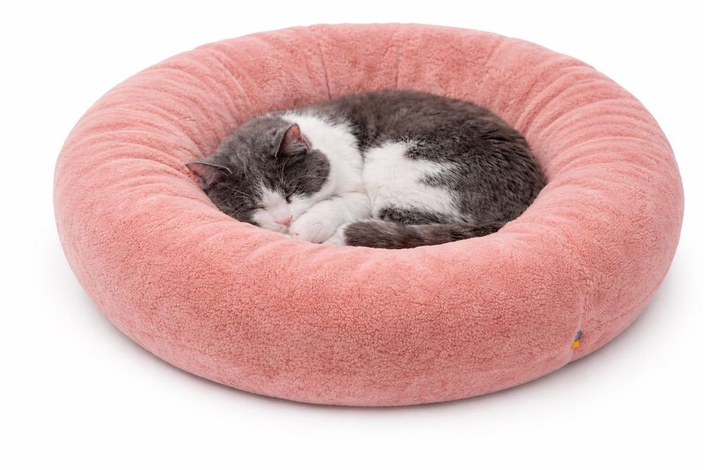 Culcuș Pufos Pentru Pisici Si Câini De Talie Mica