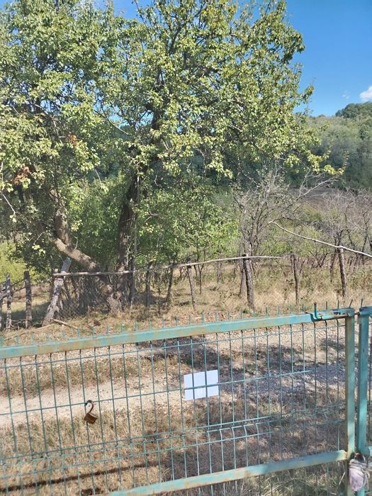 Vând casă ,com.Ladesti,sat.Olteanca, judetul Vâlcea