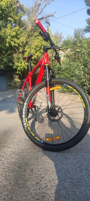 Асаламу алейкум XDS 310 Sundance retailing