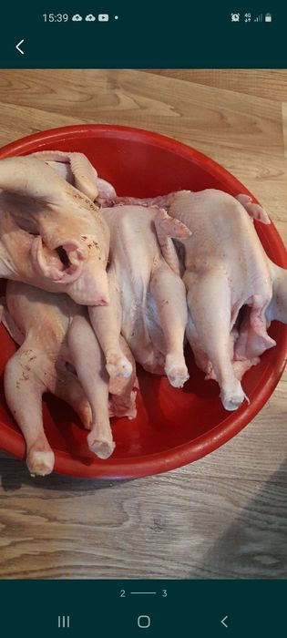 Куры бульонные домашние несушки