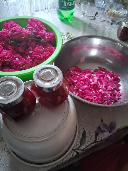Vind dulceată de trandafiri de anul asta.Este foarte gustoasă.