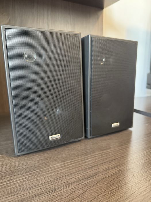 Boxe Profesionale JBL si Magnat