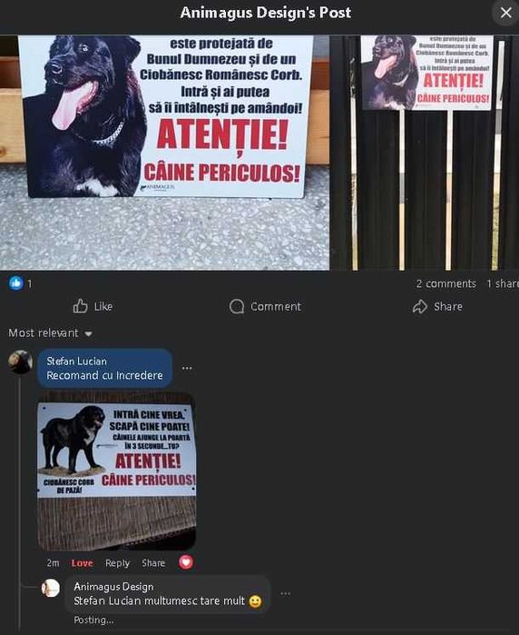 Placa Avertizare Caine Rau Periculos Ciobanesc Asia Centrala