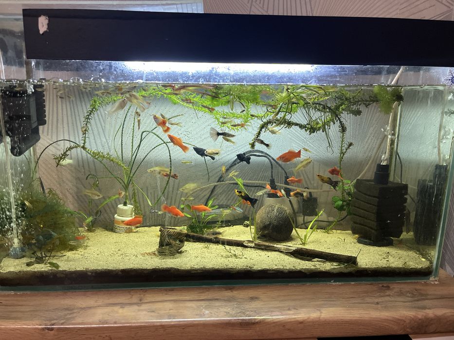 Продам аквариум с тумбочкой