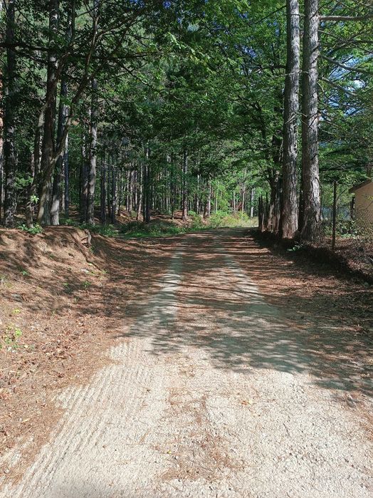 Продава Етаж от къща с.Владая