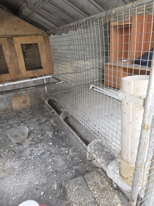 Жўжалар ва товуқлар учун қафас сотилади холати жудаям зўр,