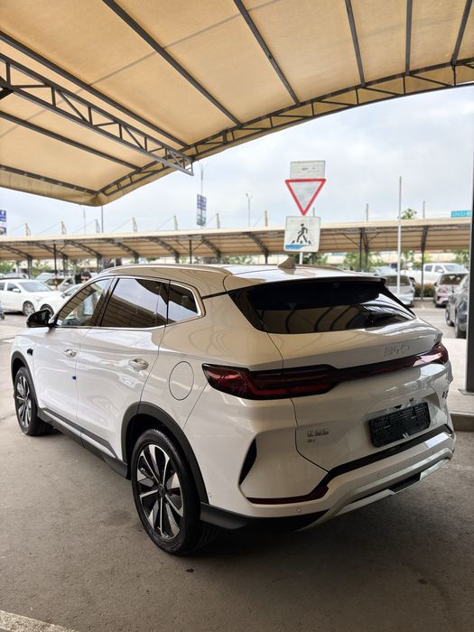 Byd Champion Ev 2025