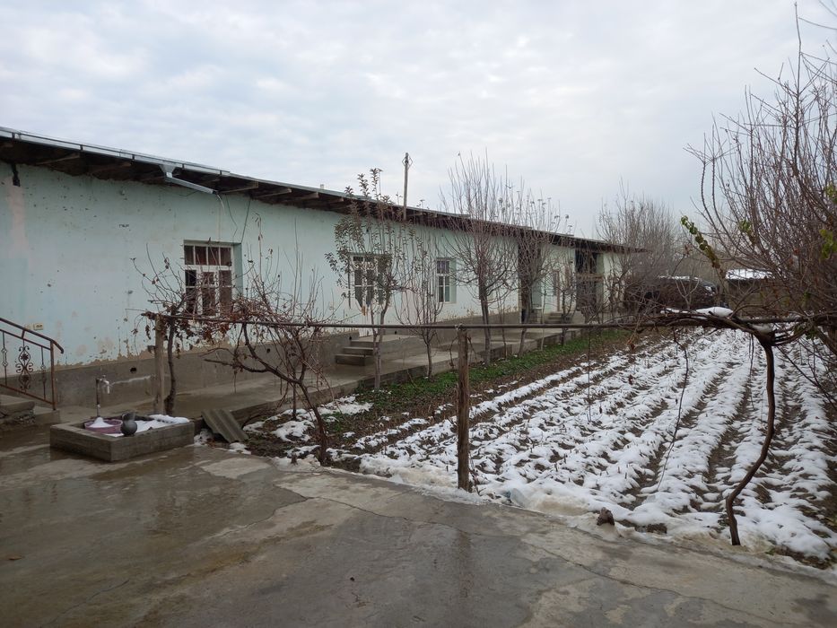 Уй сотилади 8 сутих