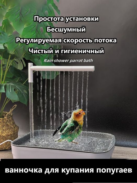 Душ для попугаев