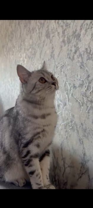 Бронь на девочку с документами.