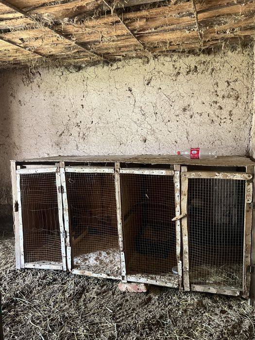 Курятник на дакан