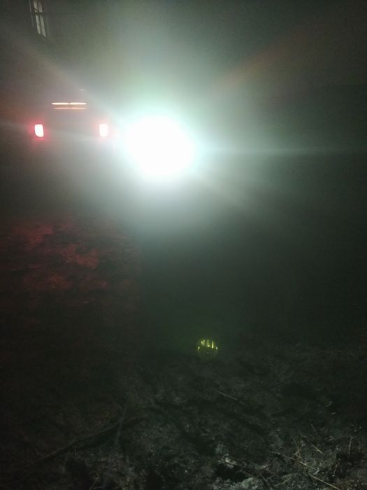 Обмен присутствует