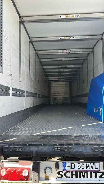 Duba izoterma Schmitz