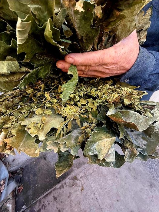 Веники для бани +Доставка