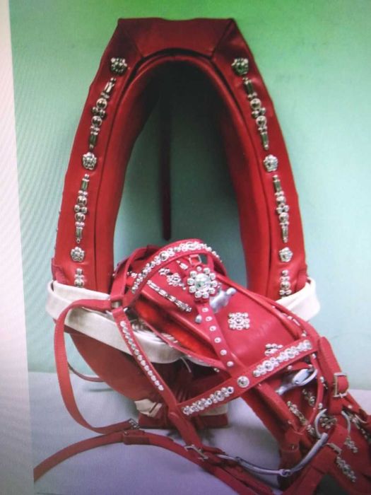 Упряжь парадная для лошади