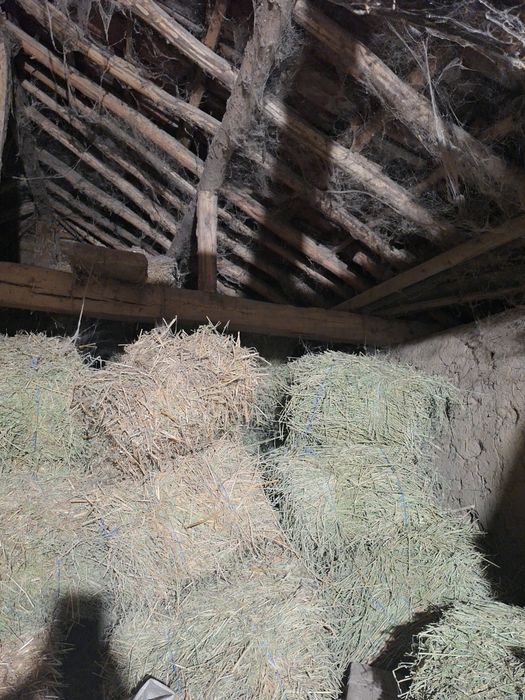 Бали люцерна 7.50 €