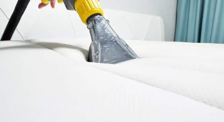 MS Cleaning Професионално почистване на ниски цени.