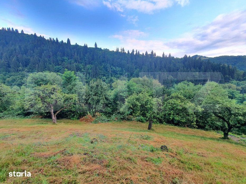 Teren intravilan, 31 ari, Ilva Mica, zona montana