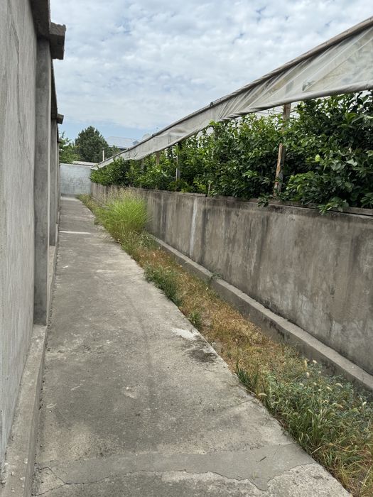 Недвижимость Политотдел