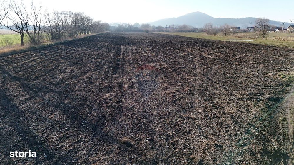 Teren extravilan cu potențial ridicat | Rezidential/Industrial Hărman