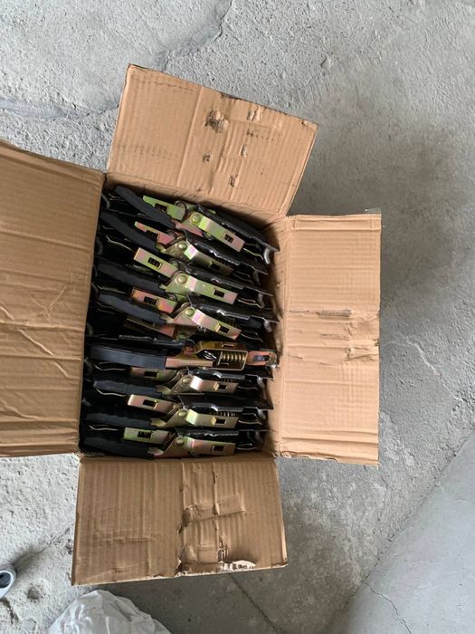 Xitoy zajim Roliklar