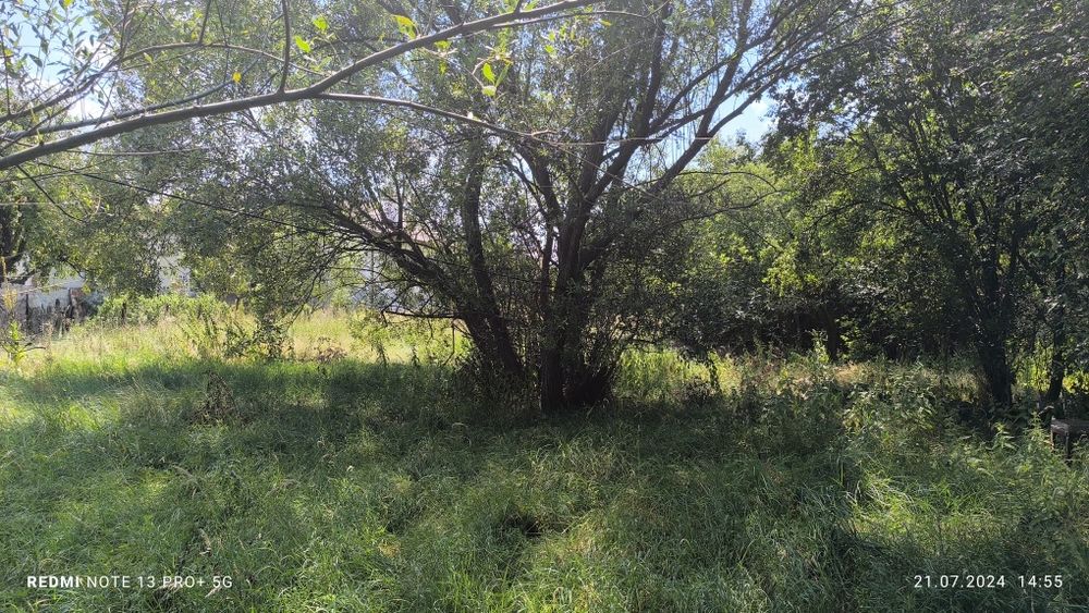 Продава се Парцел в с. Алино, Област София-област - 1273 кв.м за 40 €/кв.м - Снимка #2