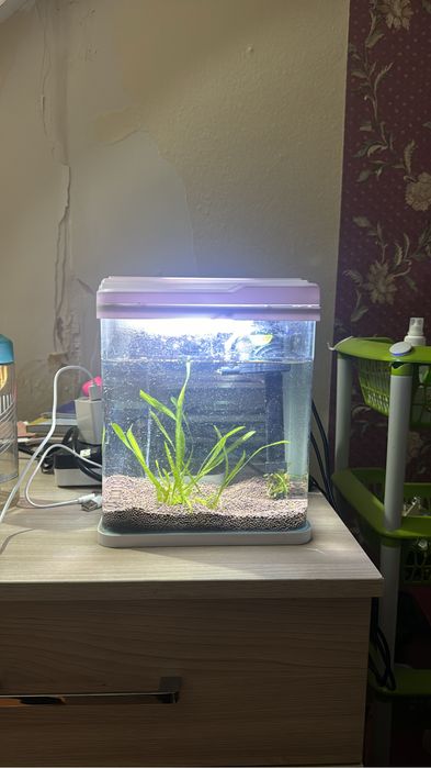 АКВАРИУМ 35 литров