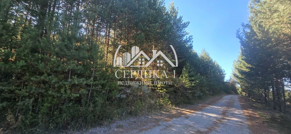 Продава се Парцел в Банско - 4820 кв.м за 37 €/кв.м - Снимка #7