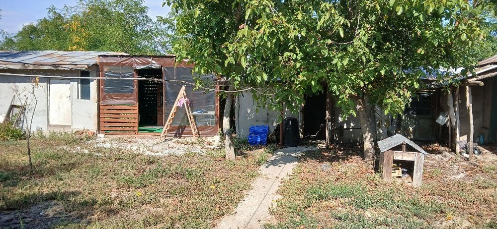 Case in comuna Rimnicelu județul Braila