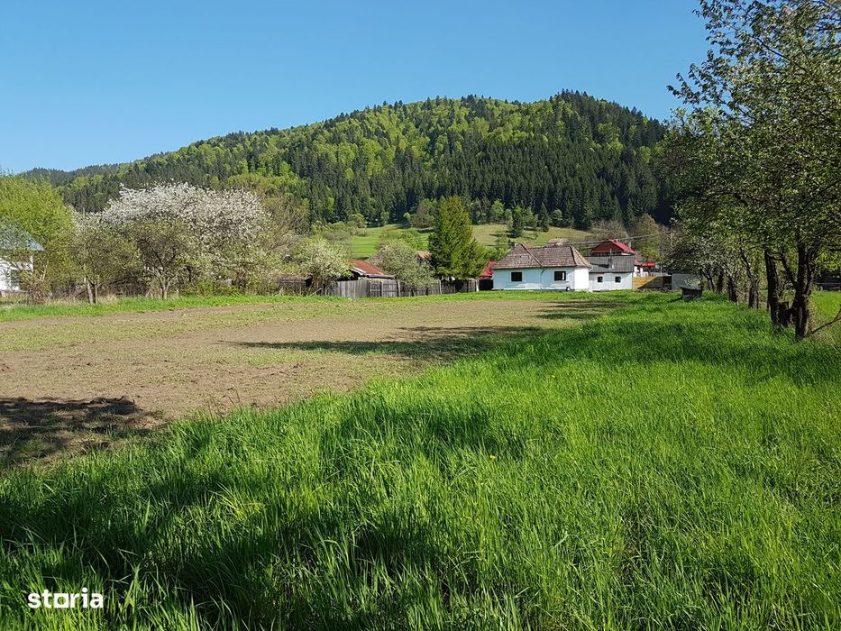 Casă din bârne cu teren la Mureş
