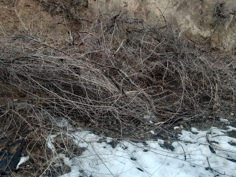 Дрова, отындар сатылады