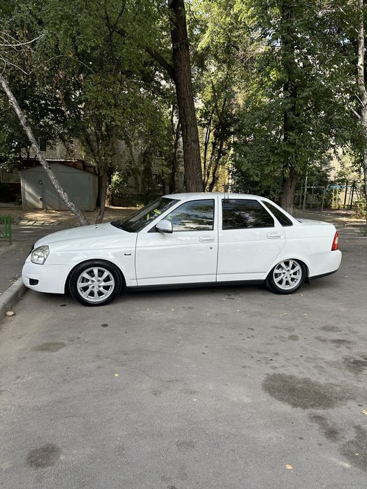 Сильвер оригинал р15