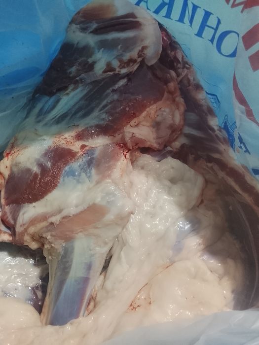 Қойдың еті бүгін сойылған