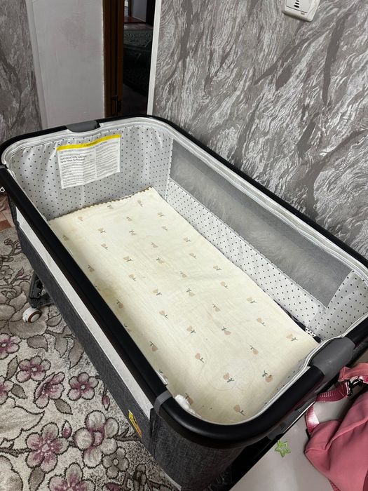 Көп ұсталмаған ноябырда алынған