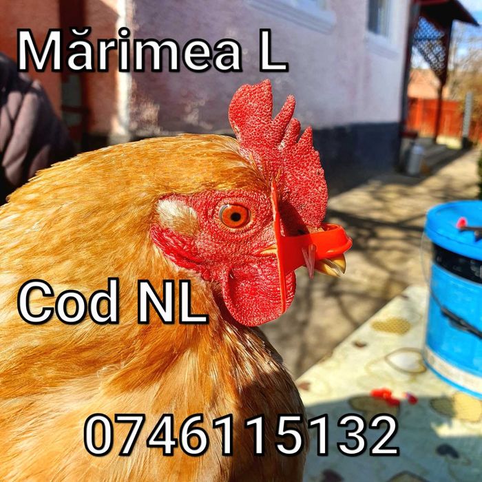 Fazani Gaini Pauni Cocosi Pasari-OCHELARI Mari Impotriva Luptelor - NL