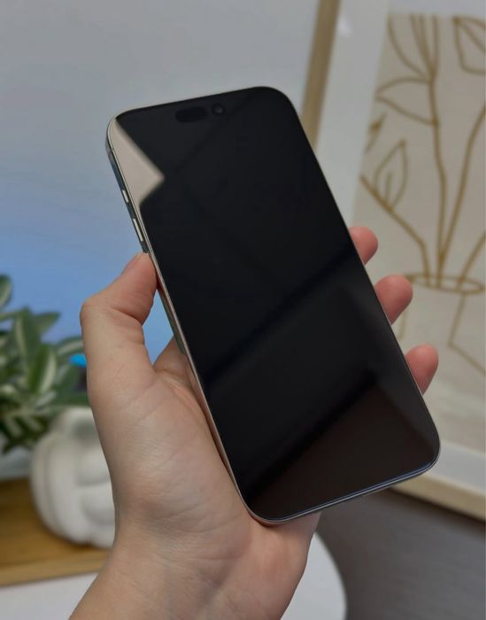 iPhone 15 PRO MAX • 256 GB • 94% Bateria