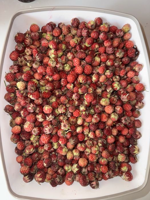 Dulceata de fragi