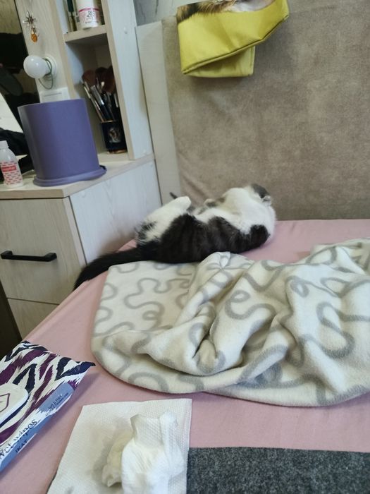 Пристраивается мальчик в добрые ручки
