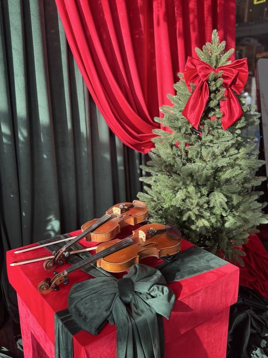 Педагог по скрипке