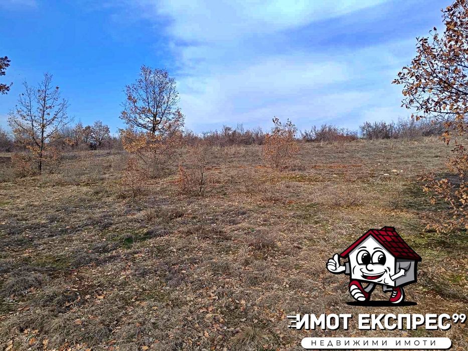 Продава се Парцел в Асеновград - 8609 кв.м за 10 €/кв.м - Снимка #21